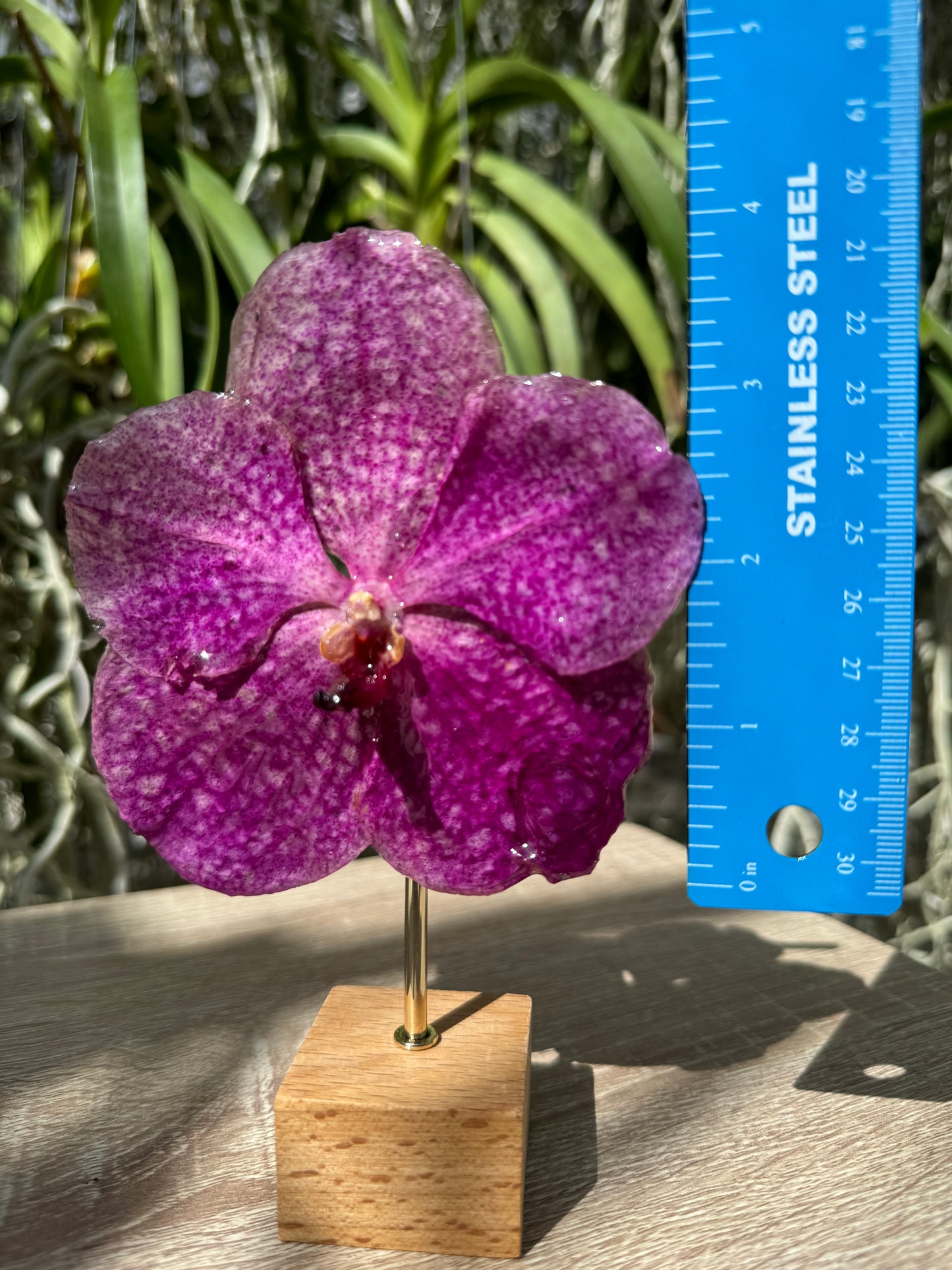 Pink Vanda Orchid Necklace