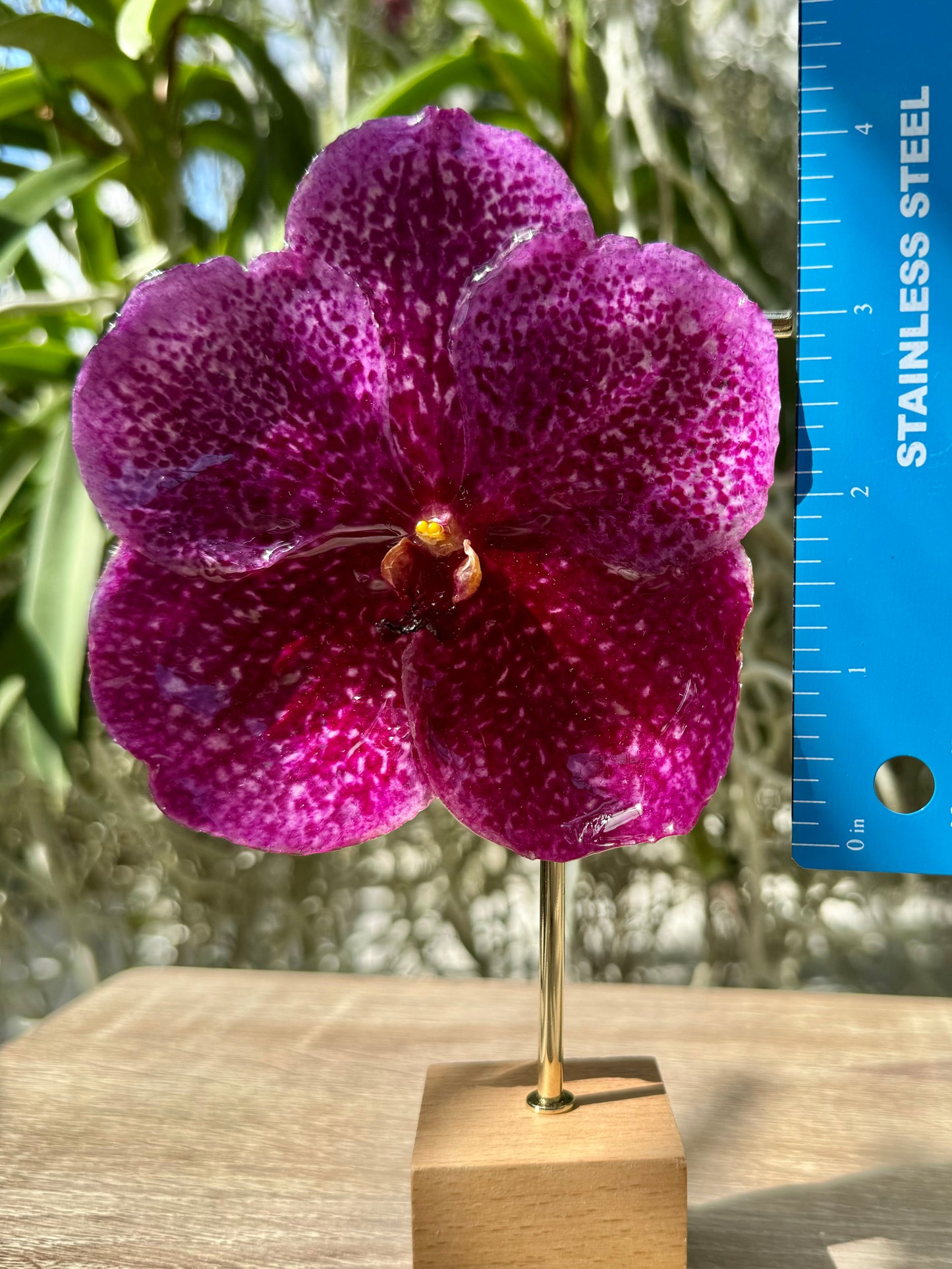 Hot Pink Vanda Orchid Necklace