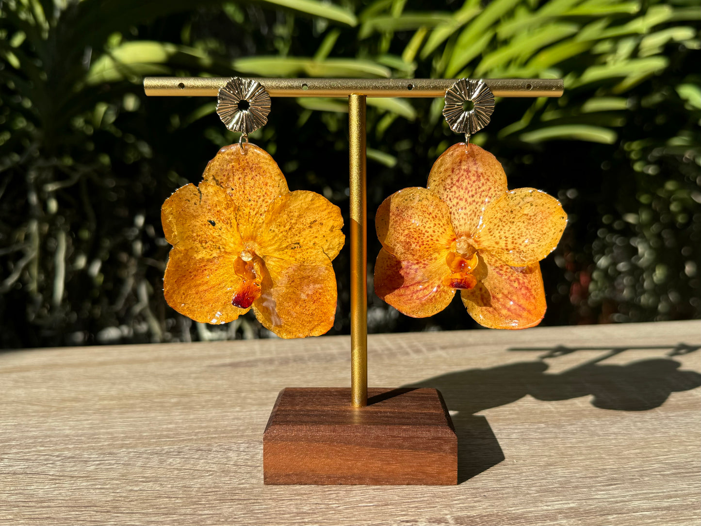 Orange sunset Vanda Orchid earrings