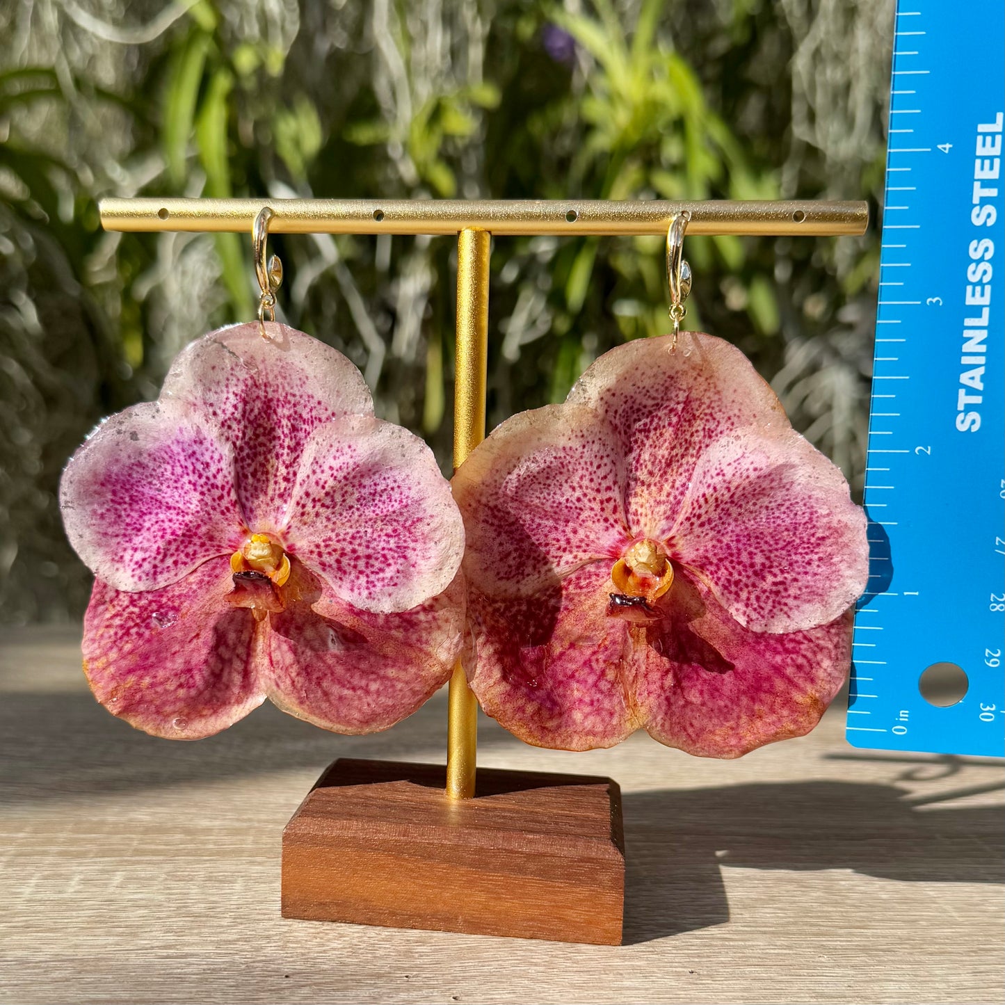 Pink Vanda Orchid earrings