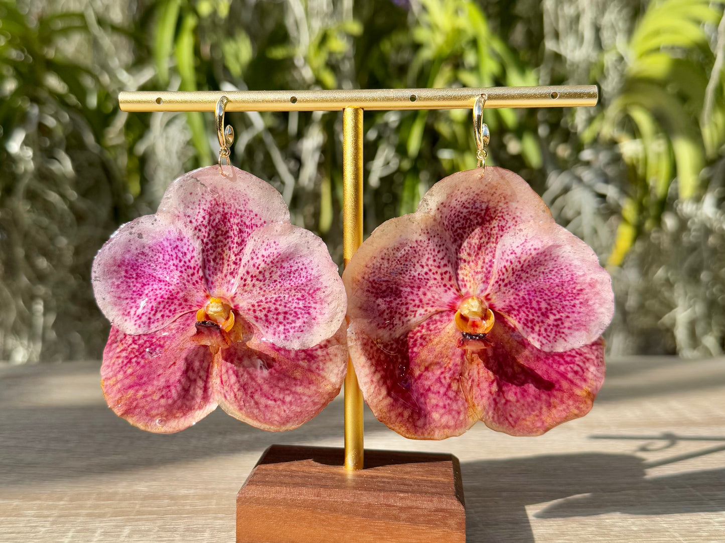 Pink Vanda Orchid earrings