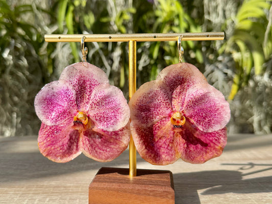 Pink Vanda Orchid earrings