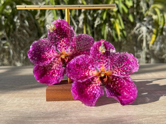 Magenta Pink Vanda Orchid earrings