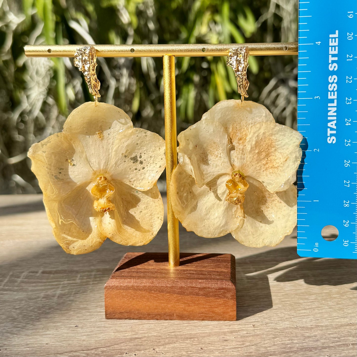 White Vanda Orchid earrings