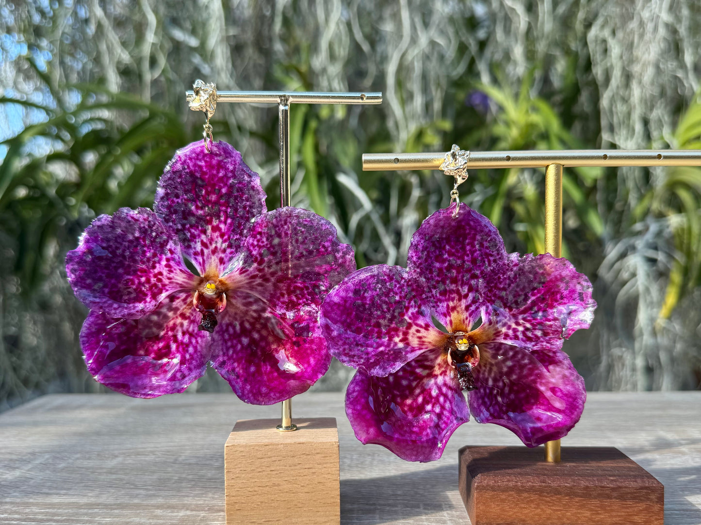 Magenta Pink Vanda Orchid earrings
