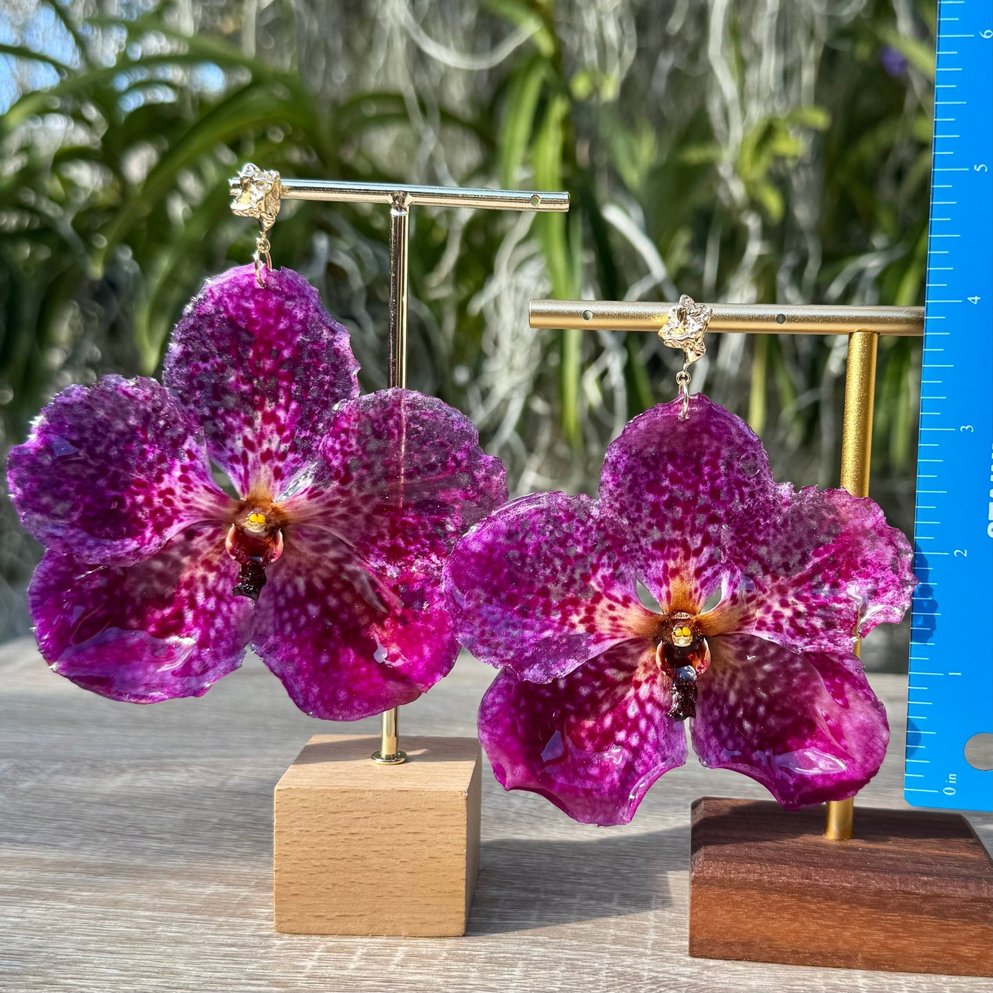 Magenta Pink Vanda Orchid earrings