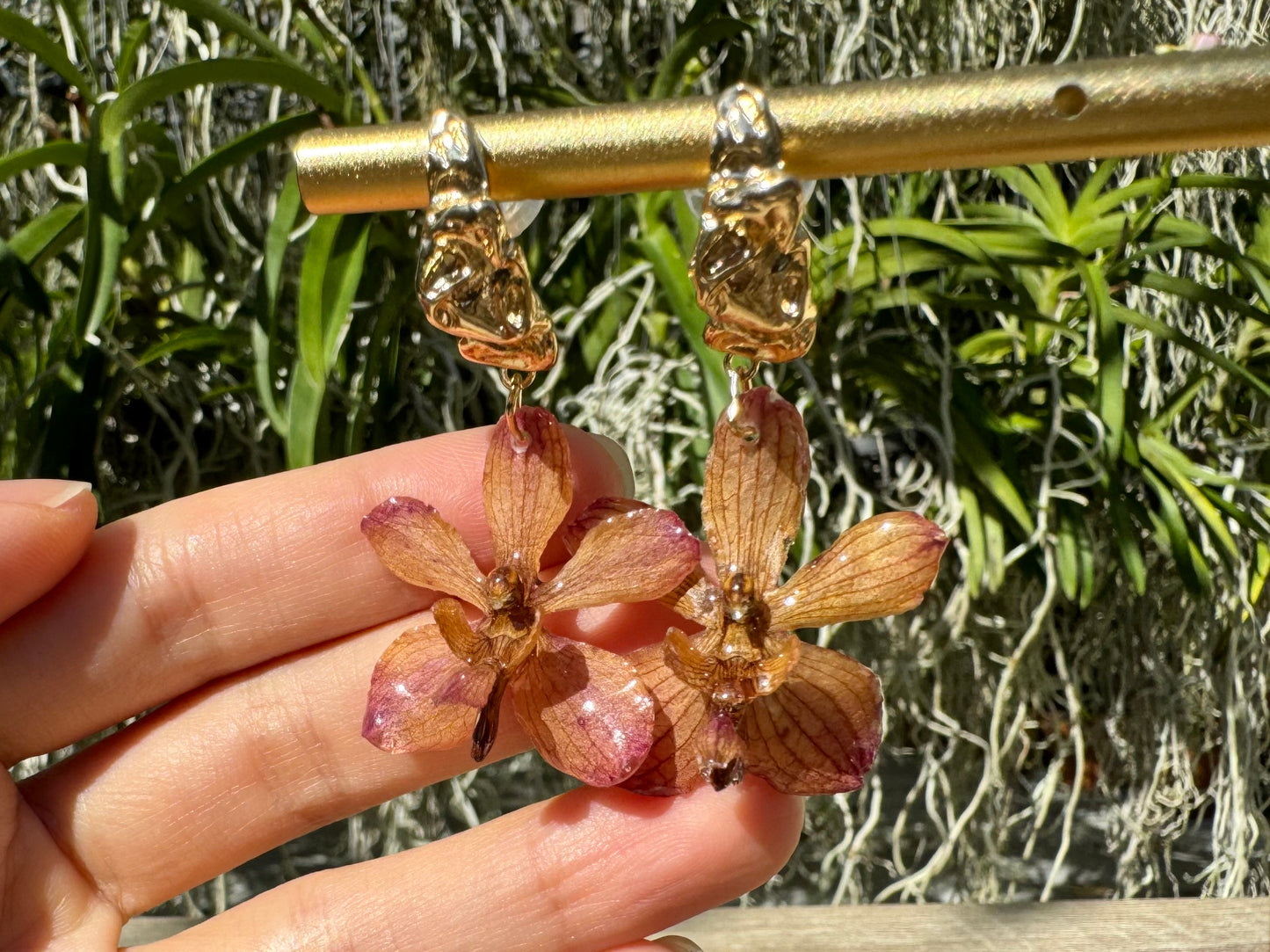 Autumn Vanda orchid mini earrings