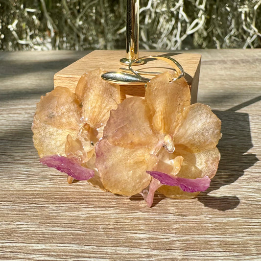 Peach Vanda orchid mini earrings