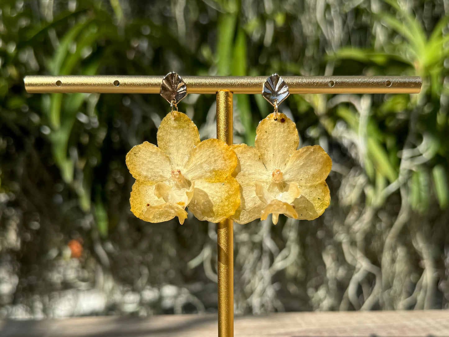 Yellow Vanda orchid mini earrings