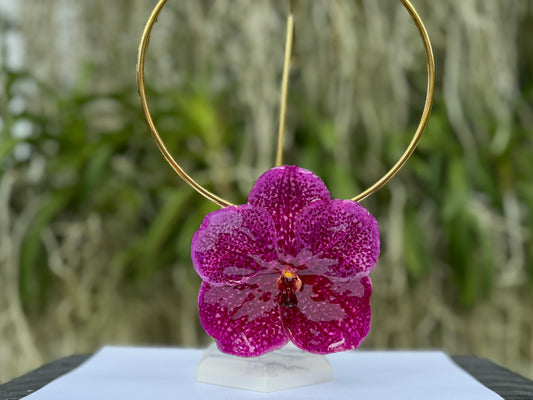 Hot Pink Vanda Orchid Necklace