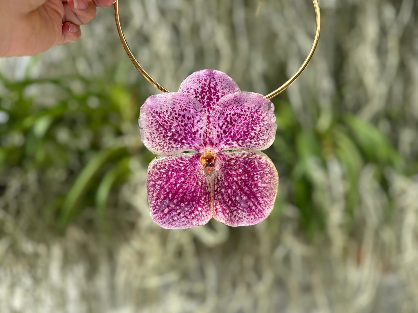 Light Pink Vanda Orchid Necklace