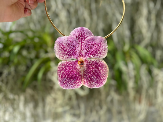 Light Pink Vanda Orchid Necklace