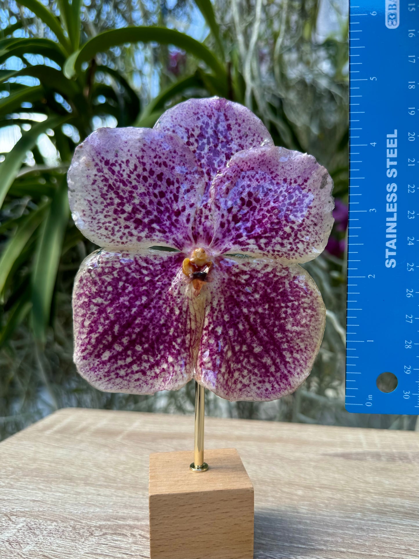 Light Pink Vanda Orchid Necklace