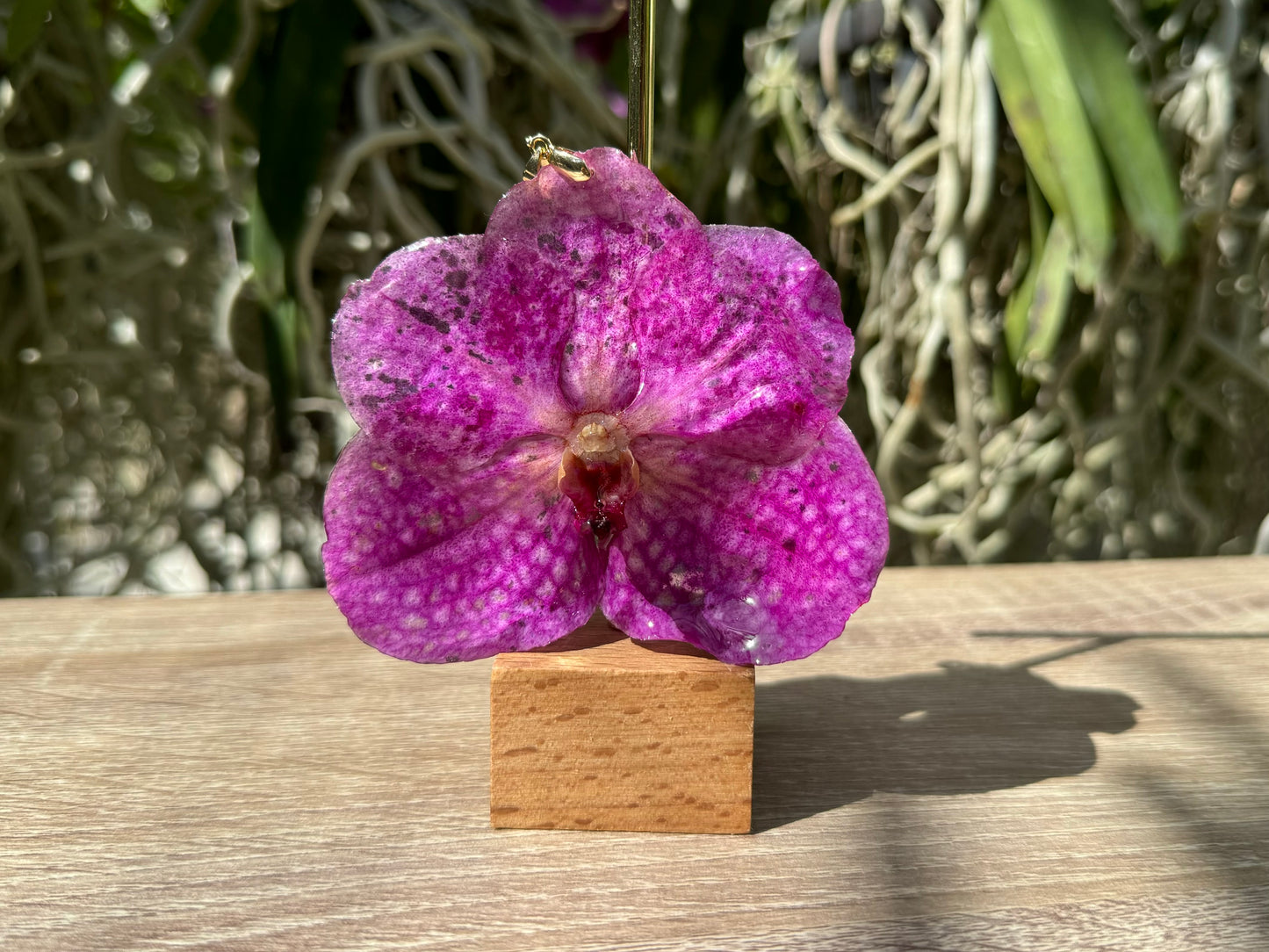 Pink Vanda Orchid Pendant