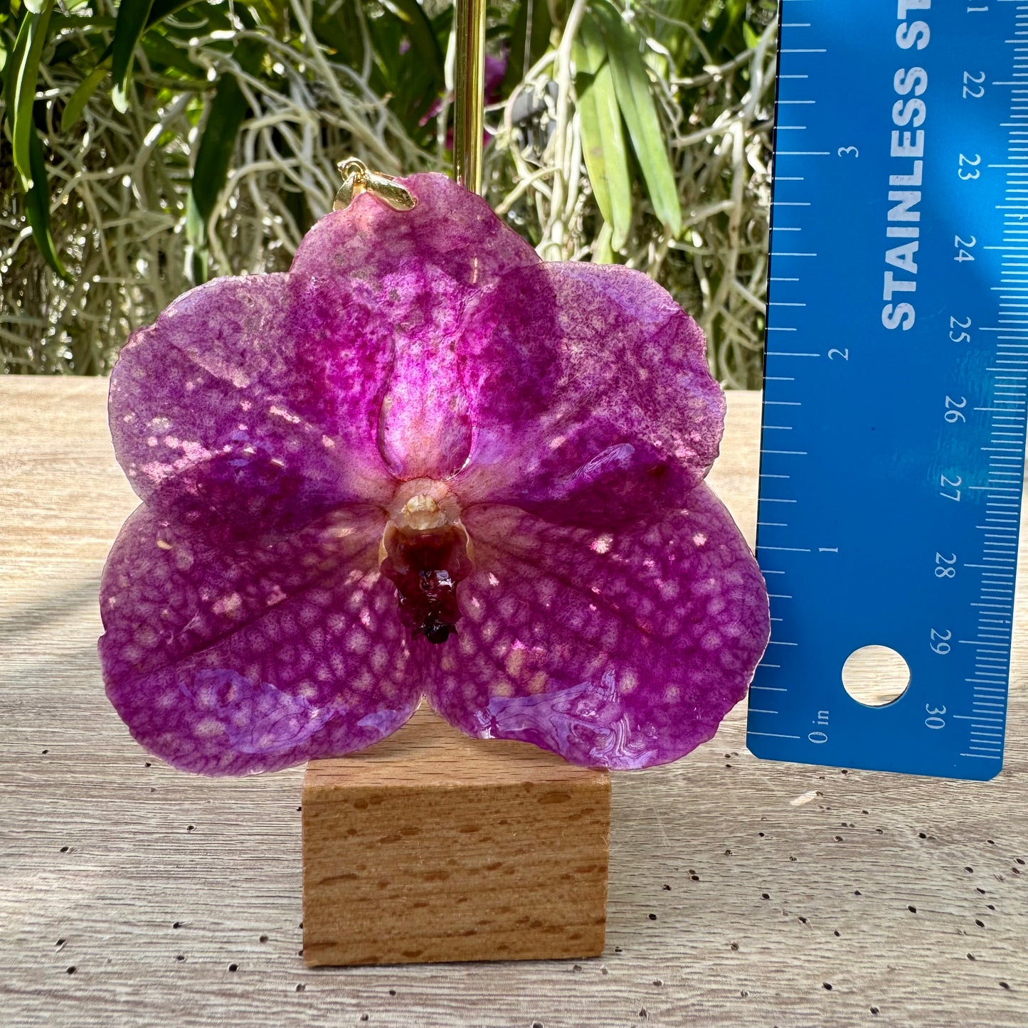Pink Vanda Orchid Pendant