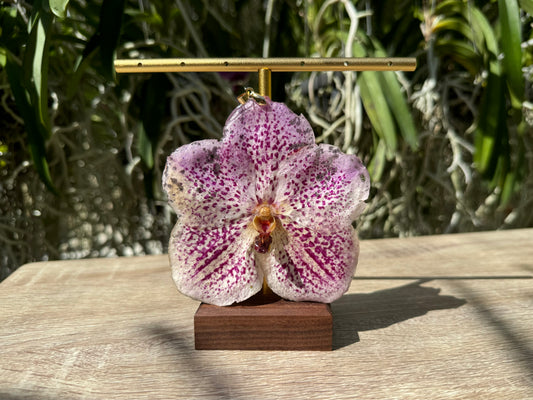 Light Pink Vanda Orchid Pendant