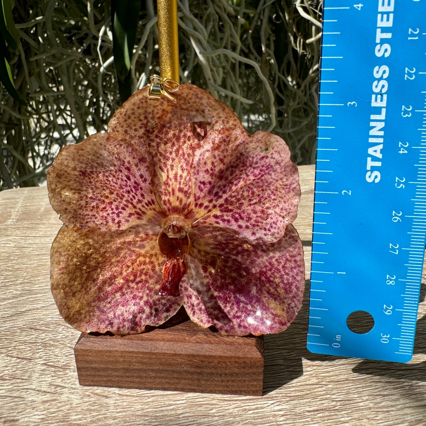 Rosé Vanda Orchid Pendant