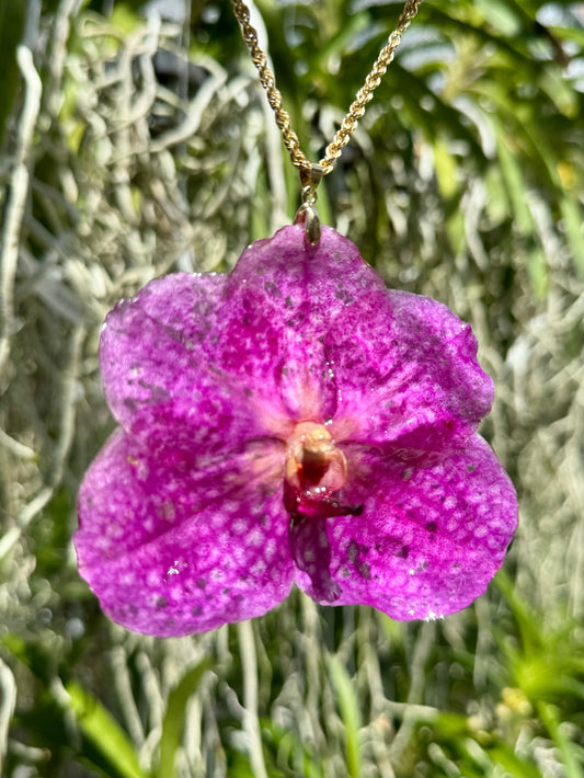 Pink Vanda Orchid Pendant