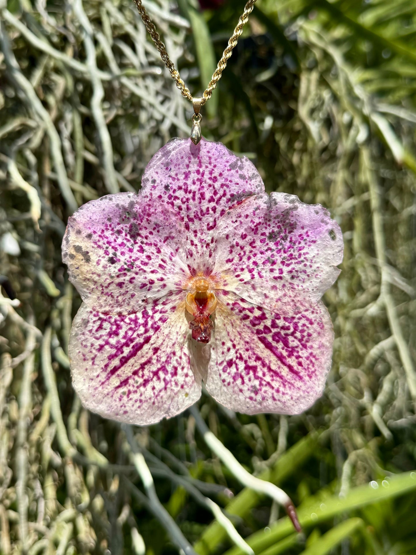 Light Pink Vanda Orchid Pendant