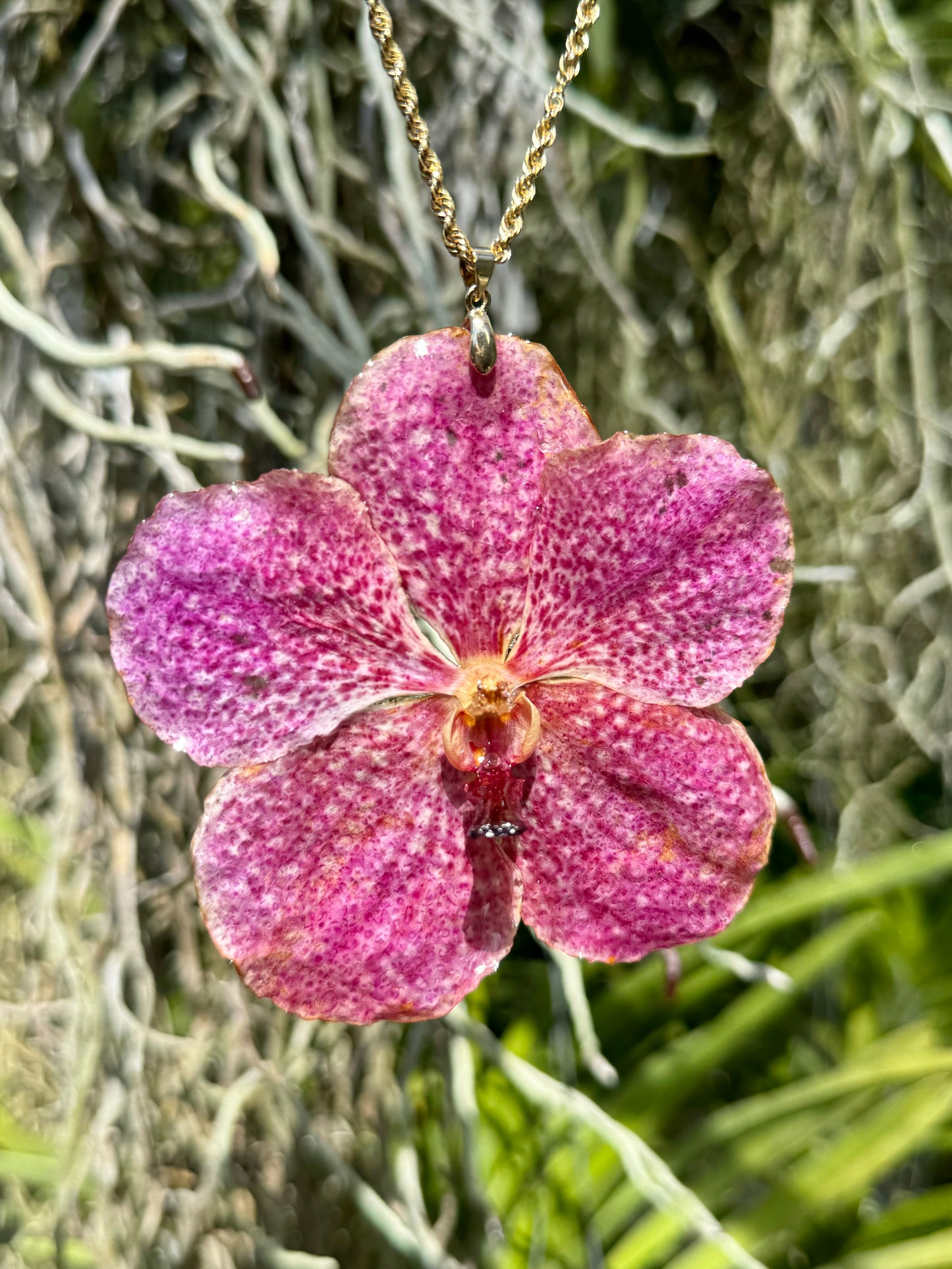 Pink Vanda Orchid Pendant