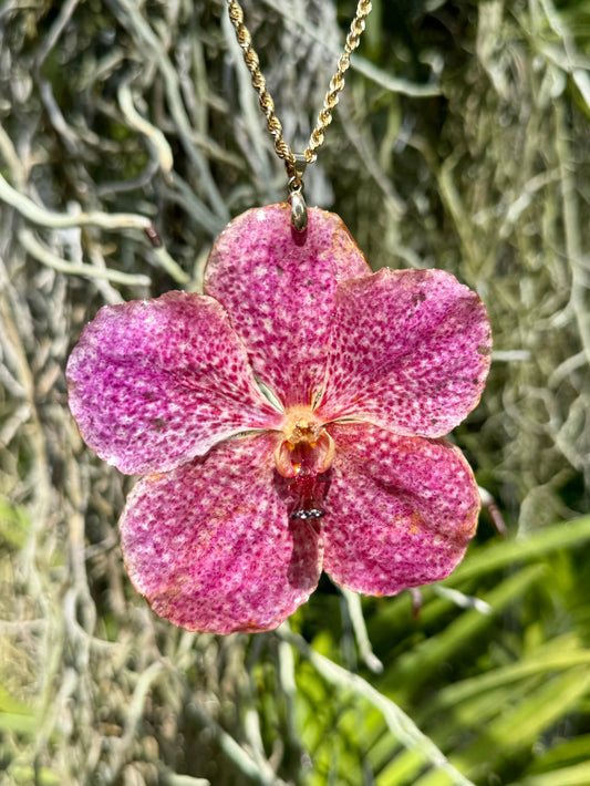 Pink Vanda Orchid Pendant