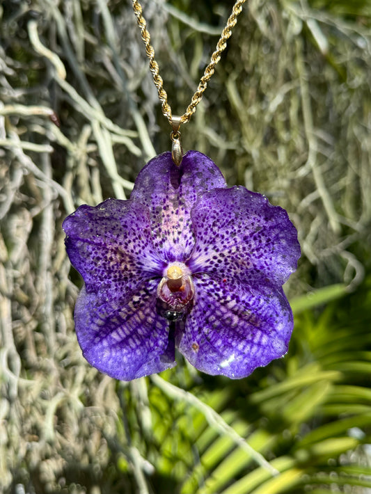 Purple Vanda Orchid Pendant