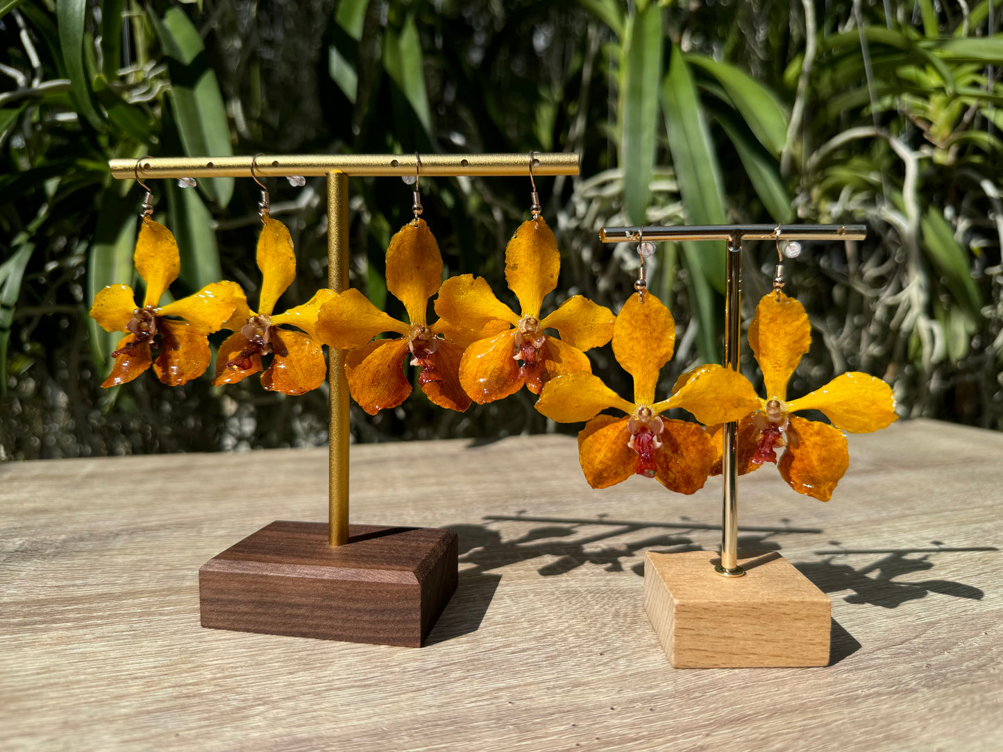 Sunset Vanda mv tannins Orchid earrings