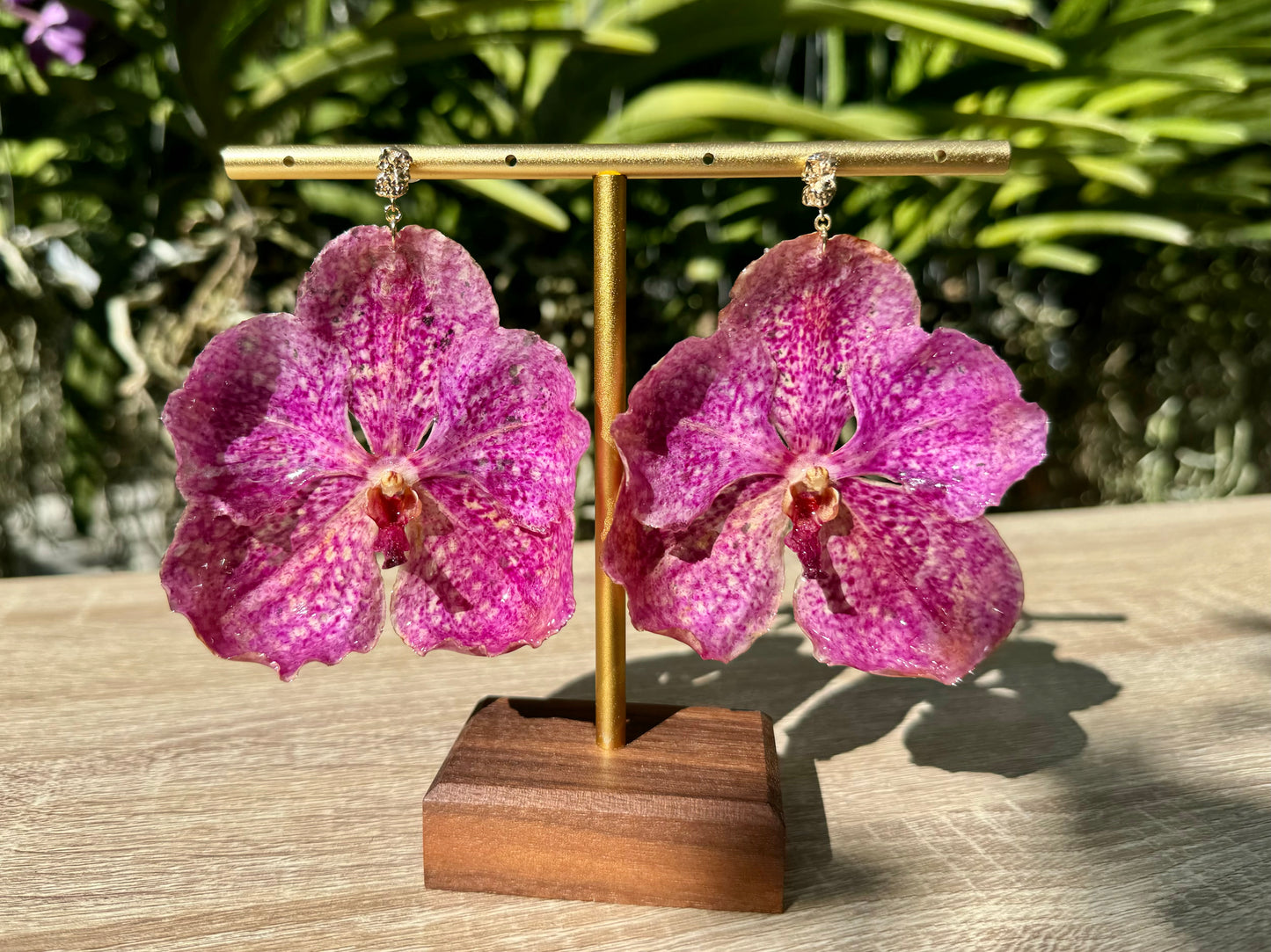 Pink Vanda Orchid earrings