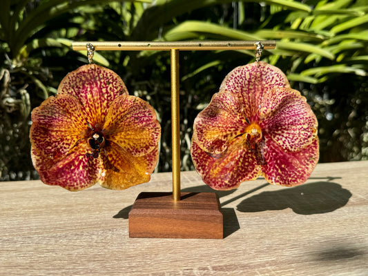 Peach Vanda Orchid earrings