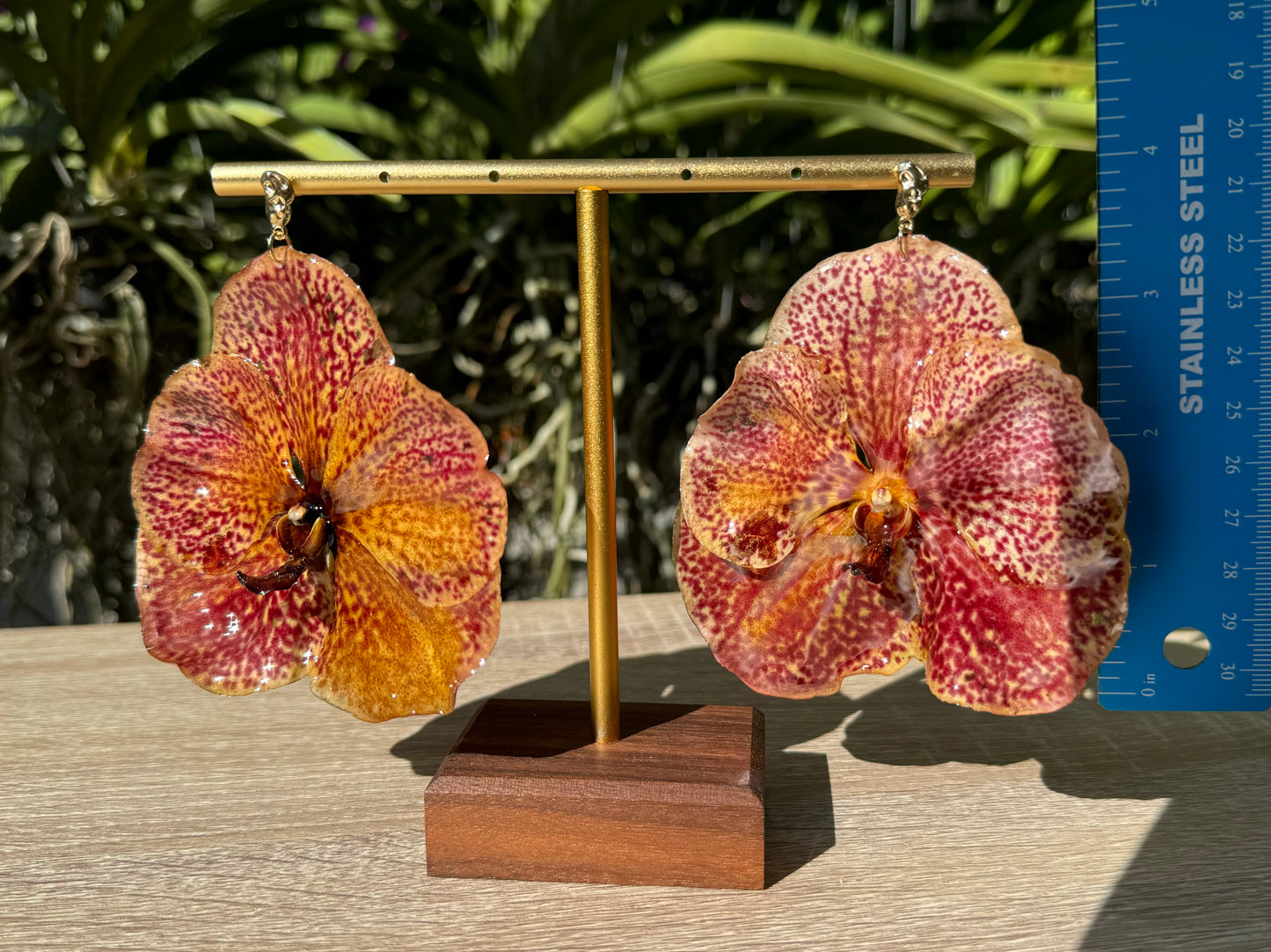 Peach Vanda Orchid earrings