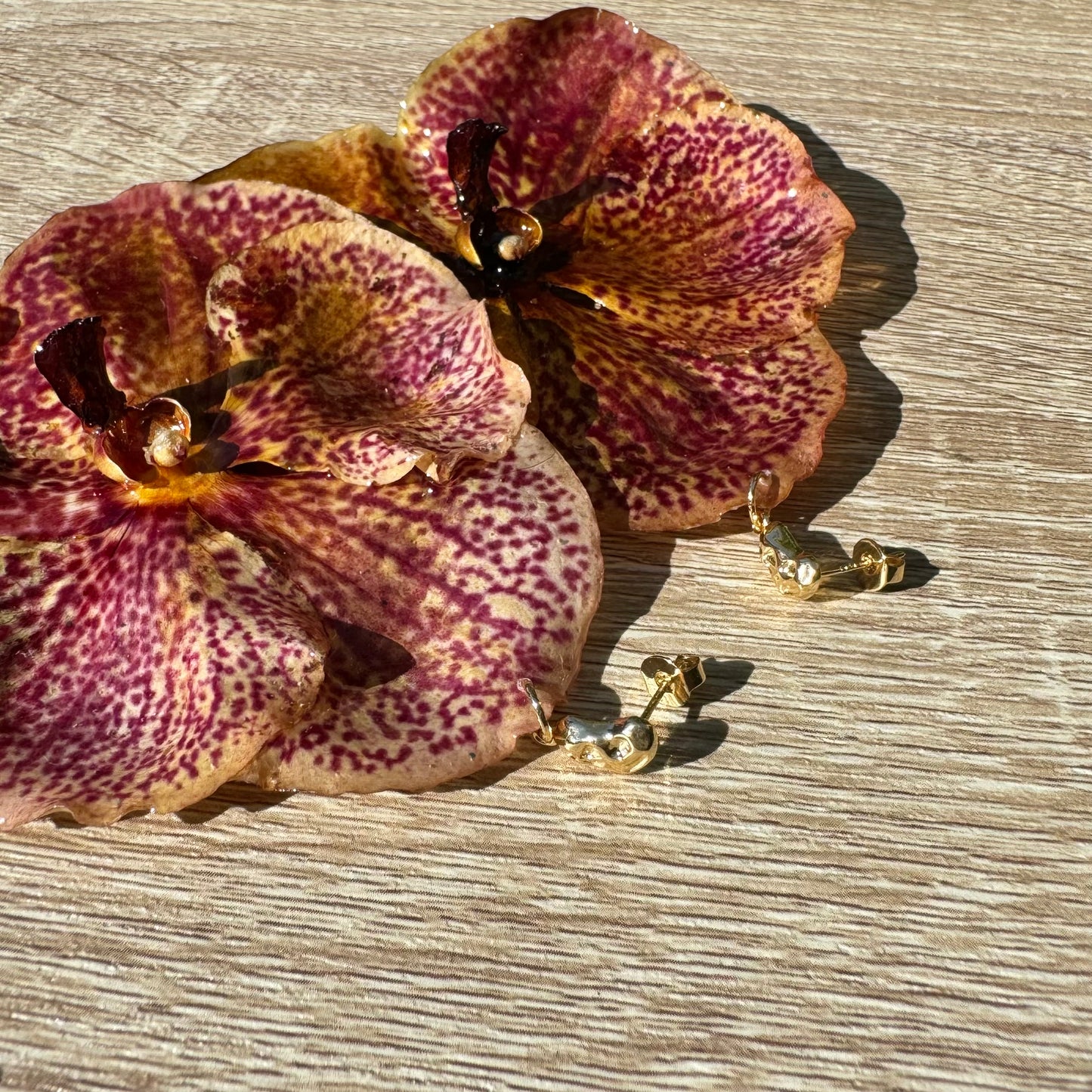 Peach Vanda Orchid earrings