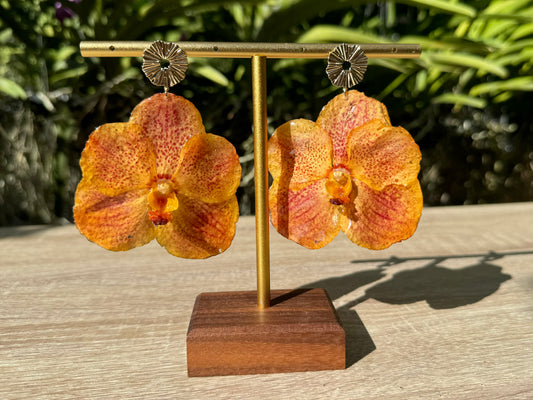 Orange sunset Vanda Orchid earrings
