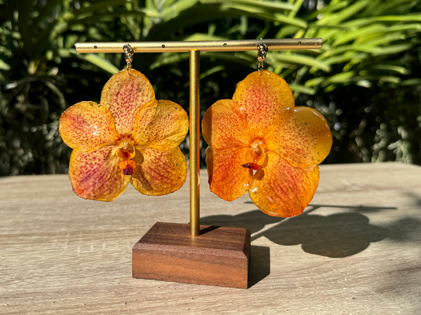 Orange sunset Vanda Orchid earrings