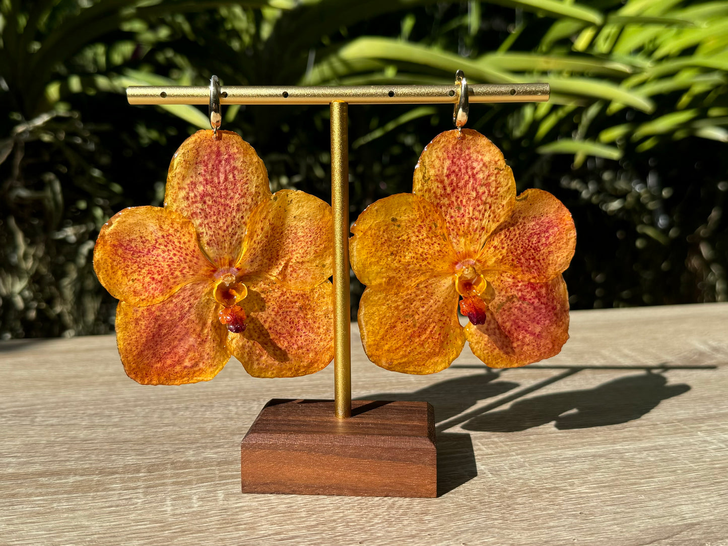 Orange sunset Vanda Orchid earrings