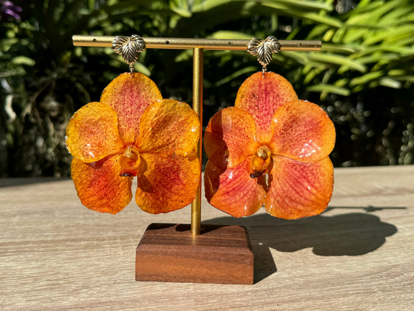 Orange sunset Vanda Orchid earrings