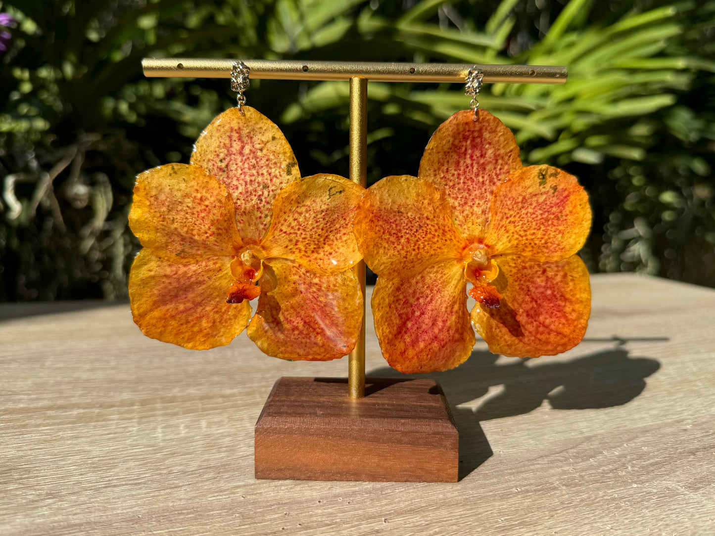 Orange sunset Vanda Orchid earrings