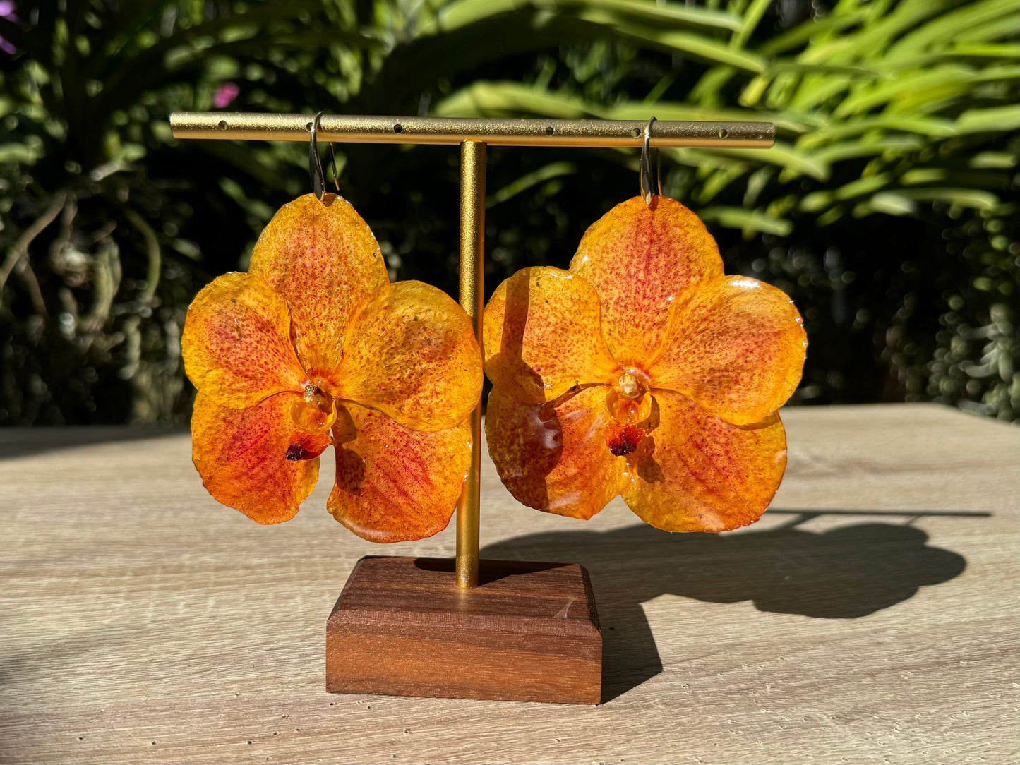 Orange sunset Vanda Orchid earrings