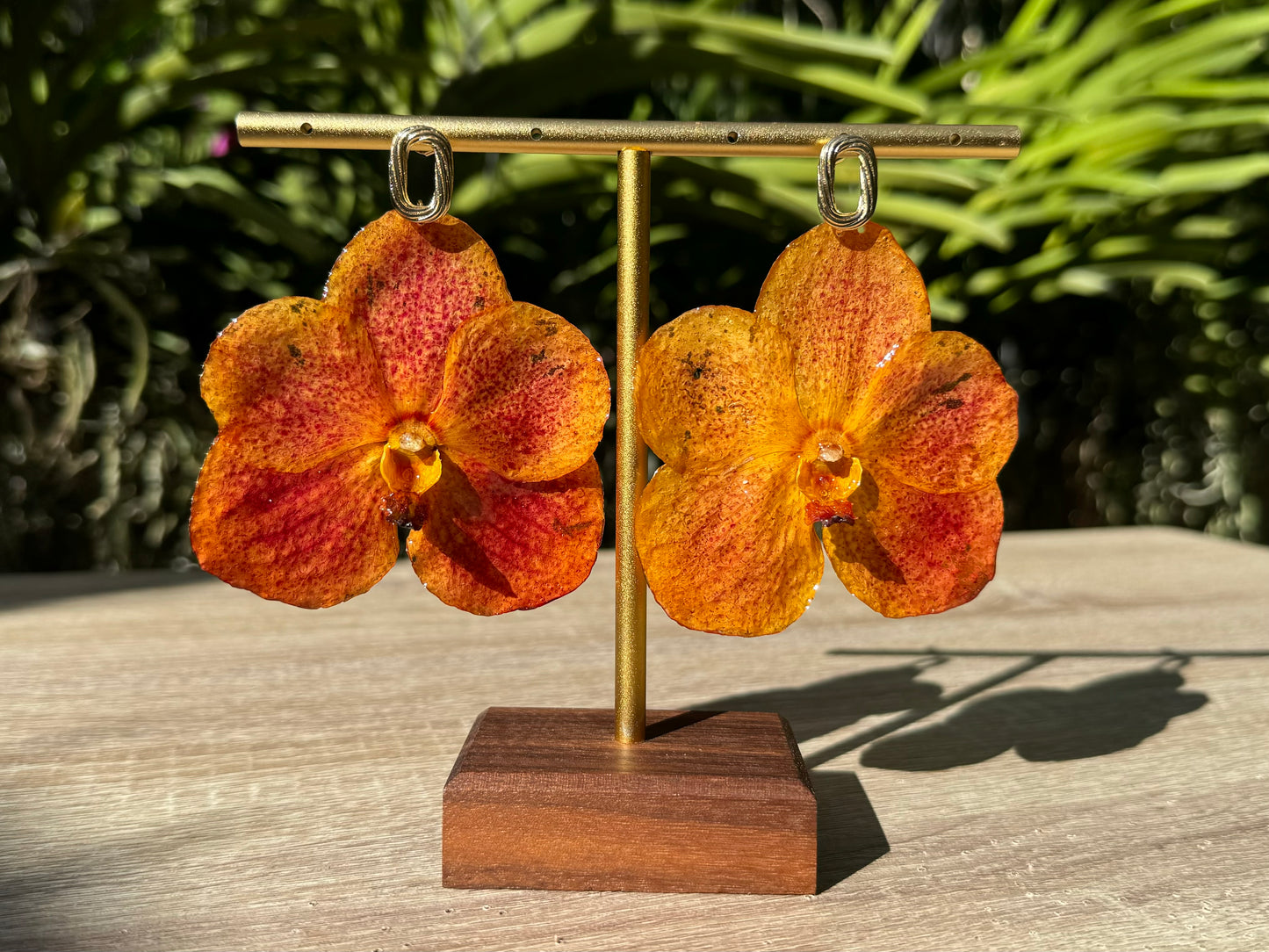 Orange sunset Vanda Orchid earrings