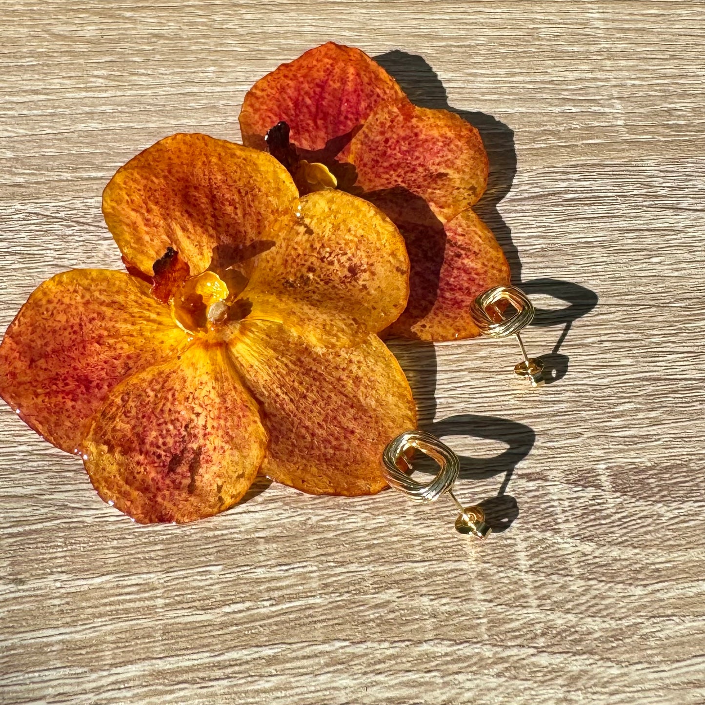 Orange sunset Vanda Orchid earrings