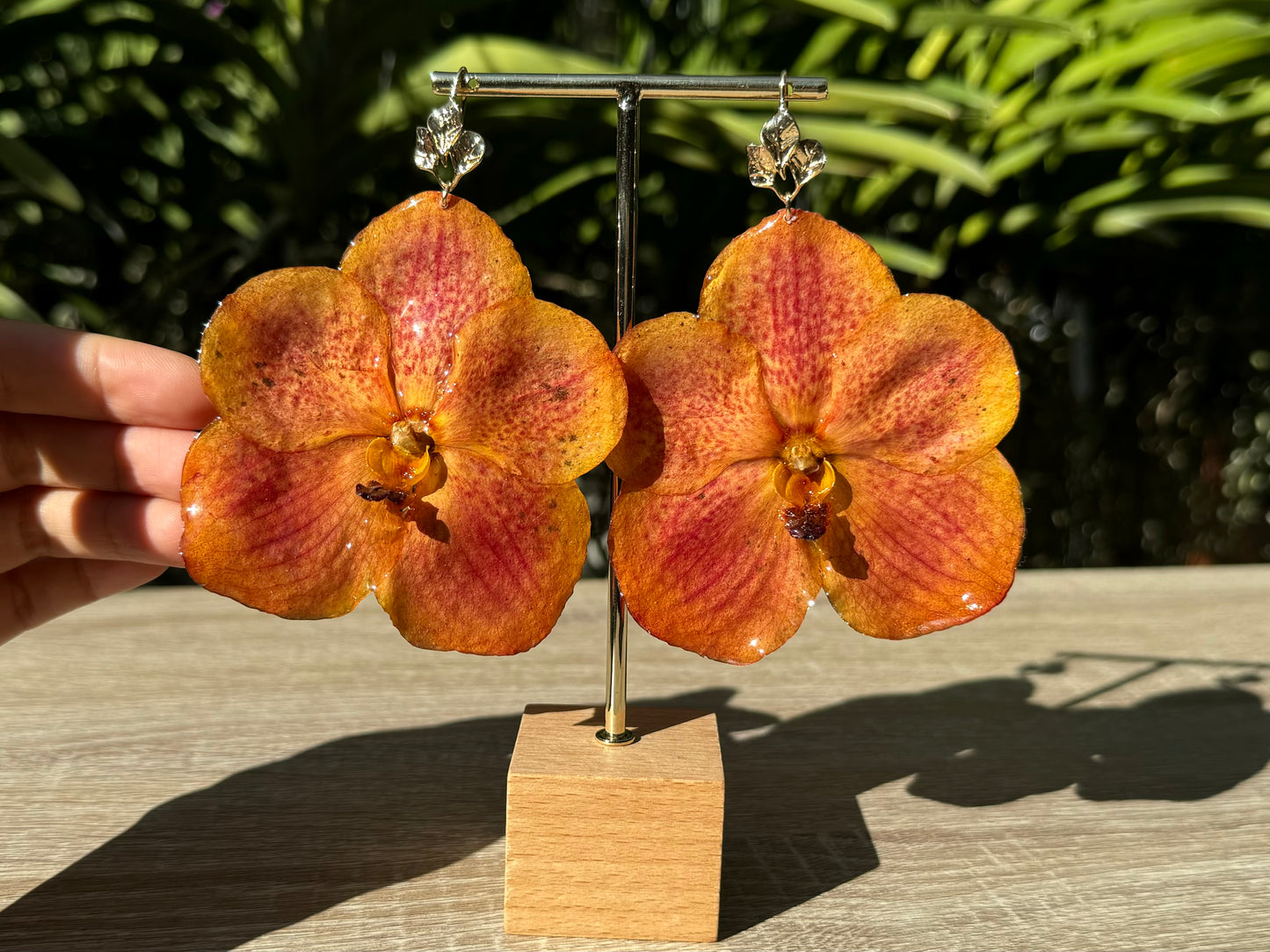 Orange sunset Vanda Orchid earrings