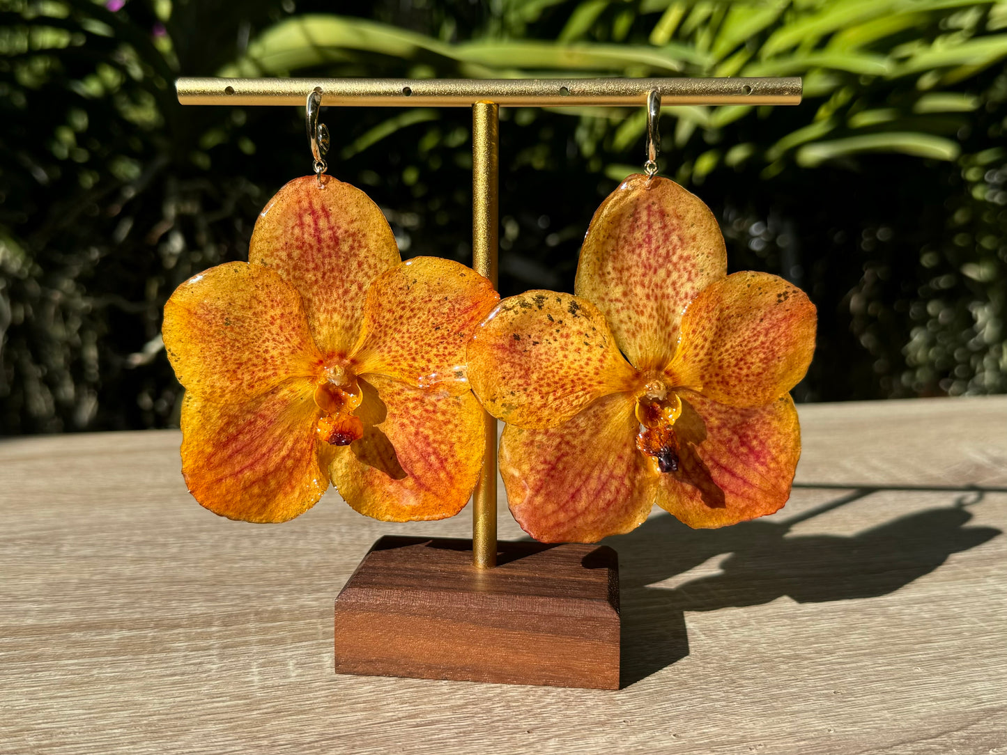 Orange sunset Vanda Orchid earrings