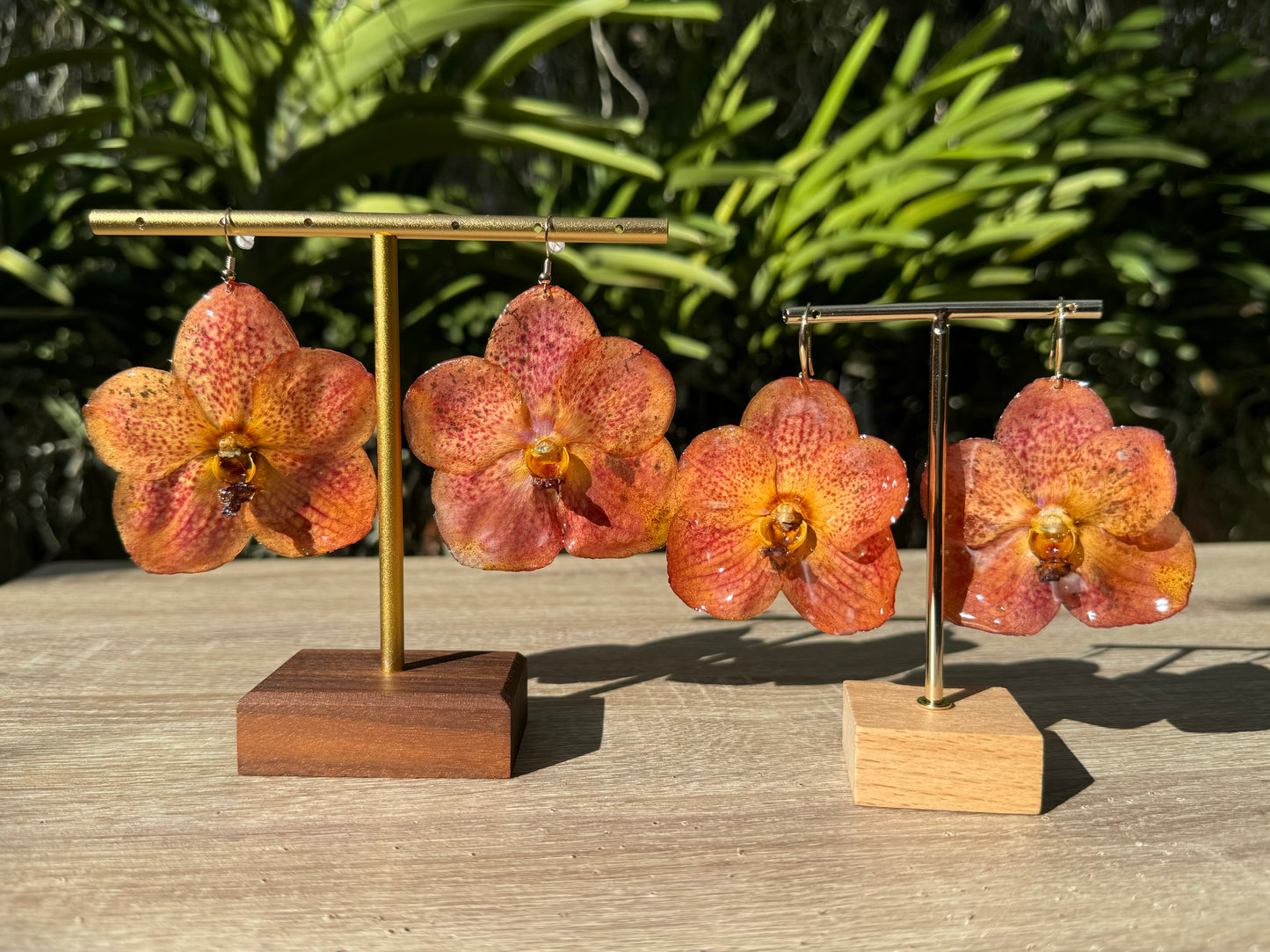 Sunset Fuchs Vanda Orchid earrings