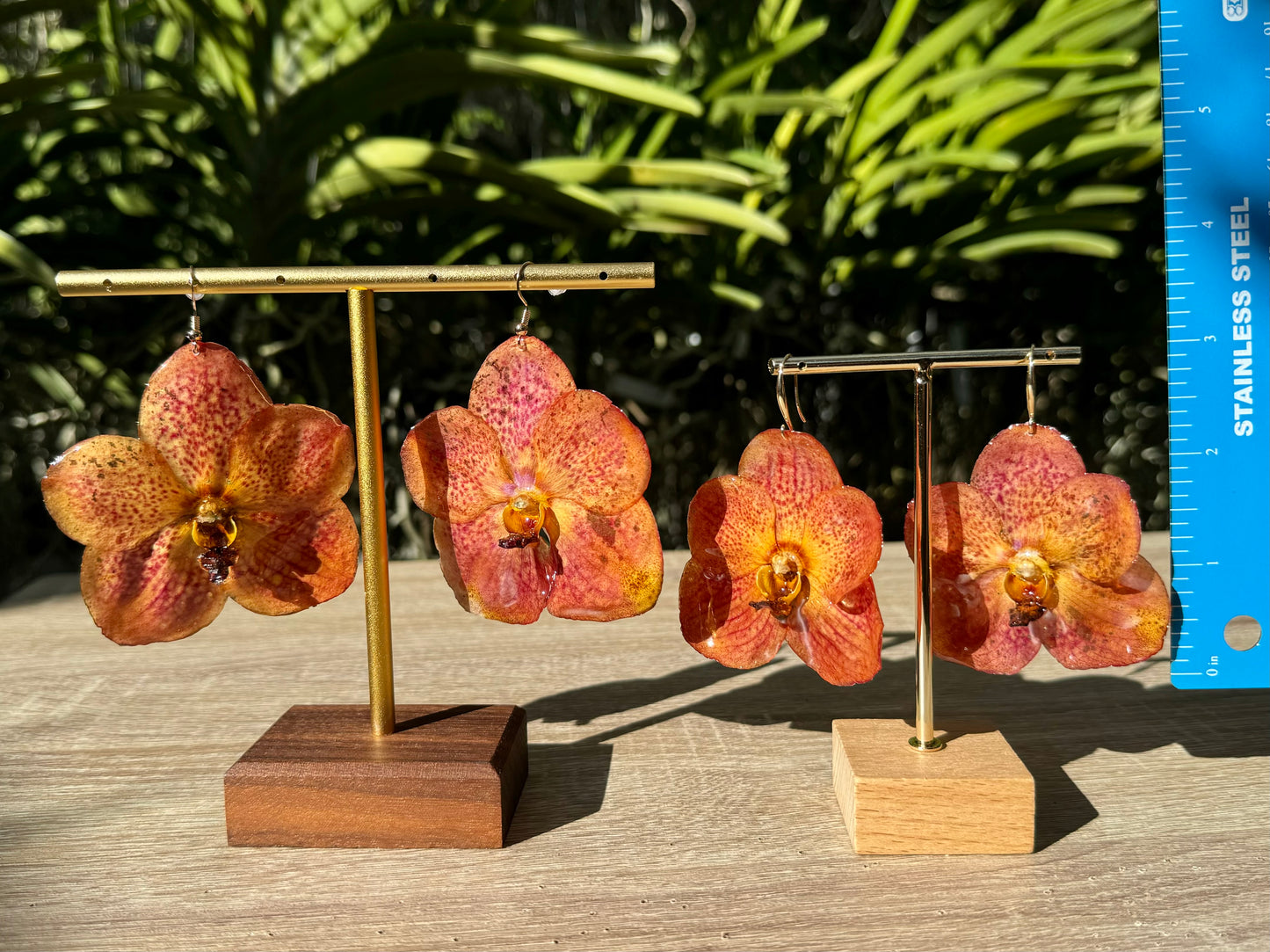 Sunset Fuchs Vanda Orchid earrings