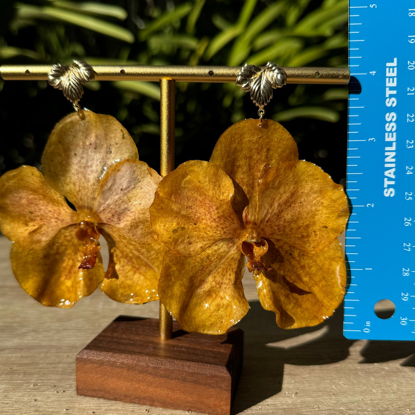 Golden Yellow Vanda Orchid earrings