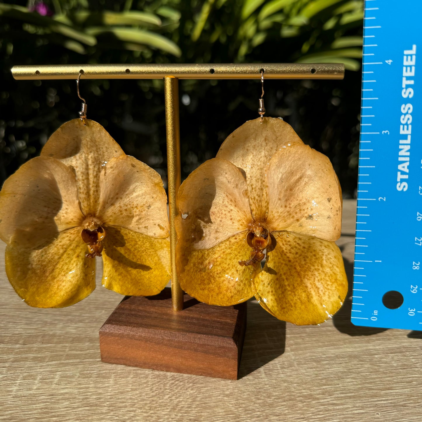 Two Tone White Yellow Vanda Orchid earrings