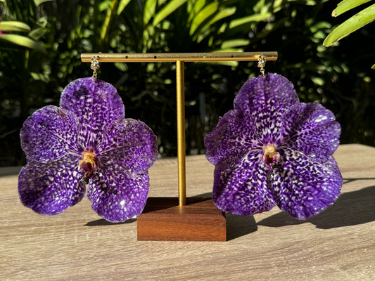 Purple Vanda Orchid earrings