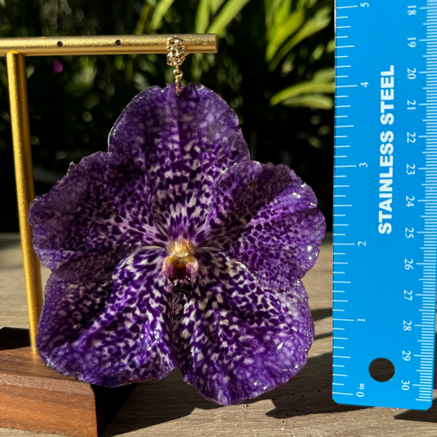Purple Vanda Orchid earrings