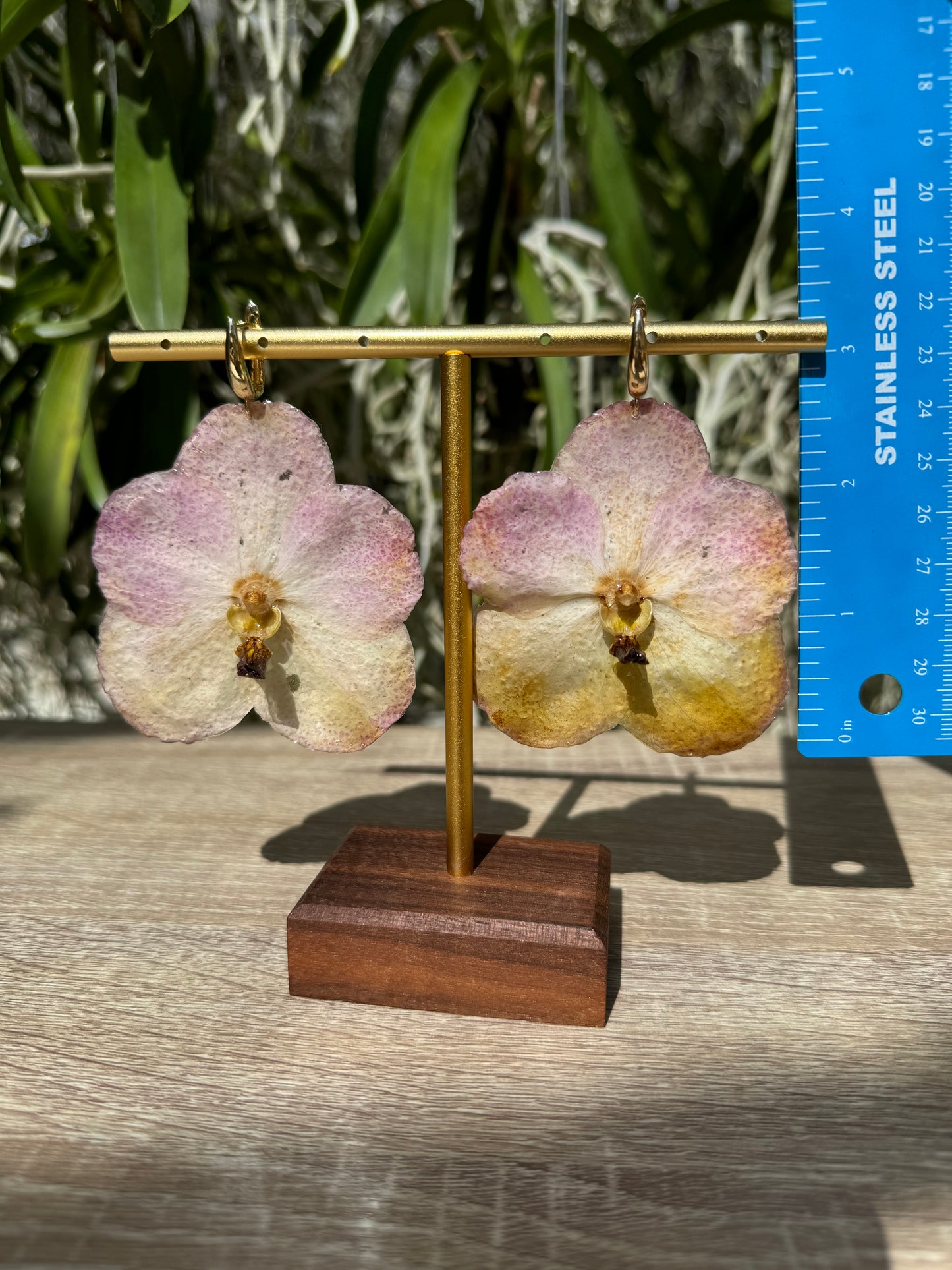 Sunset Vanda two tone Orchid earrings
