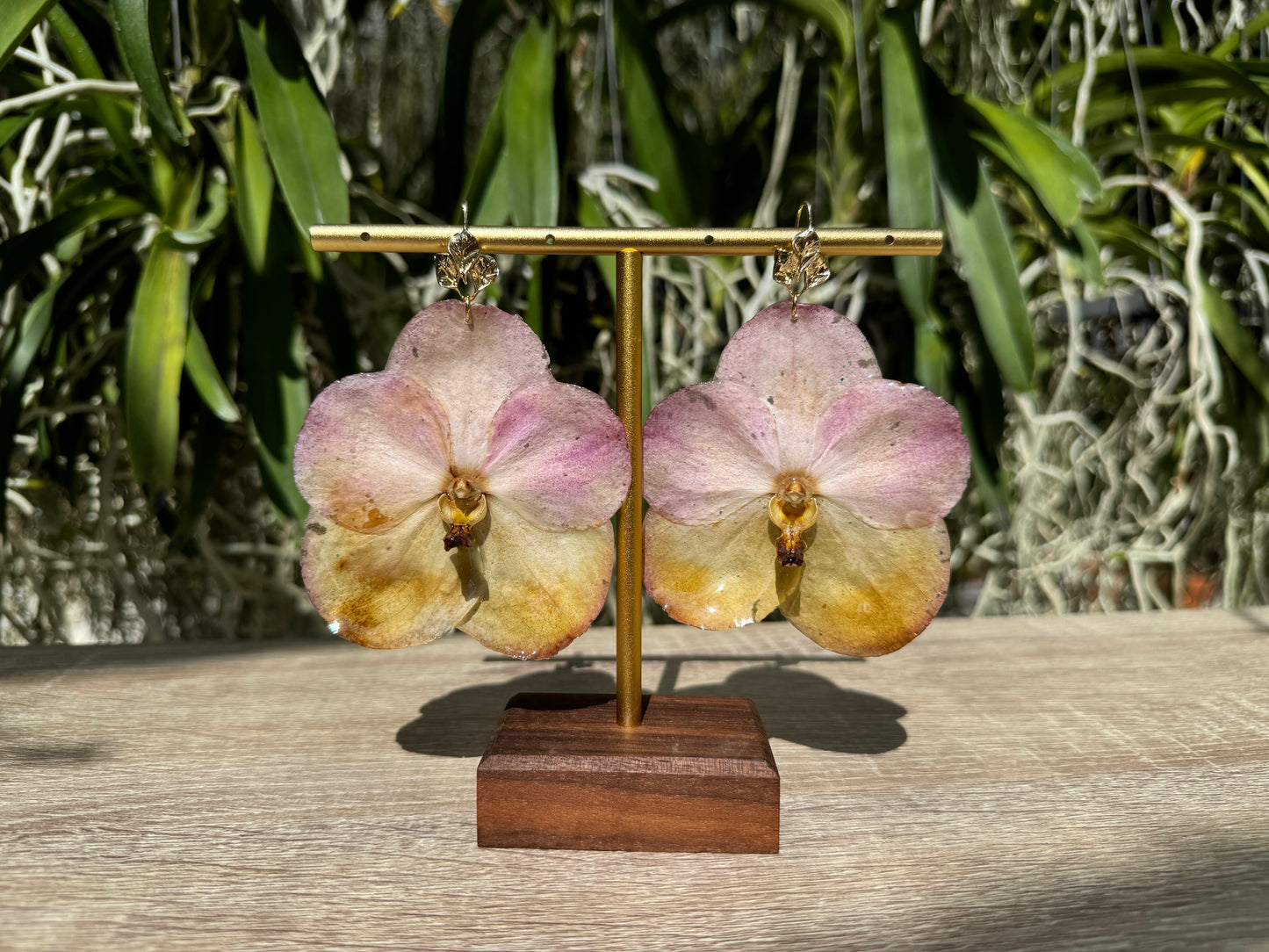 Sunset Vanda two tone Orchid earrings