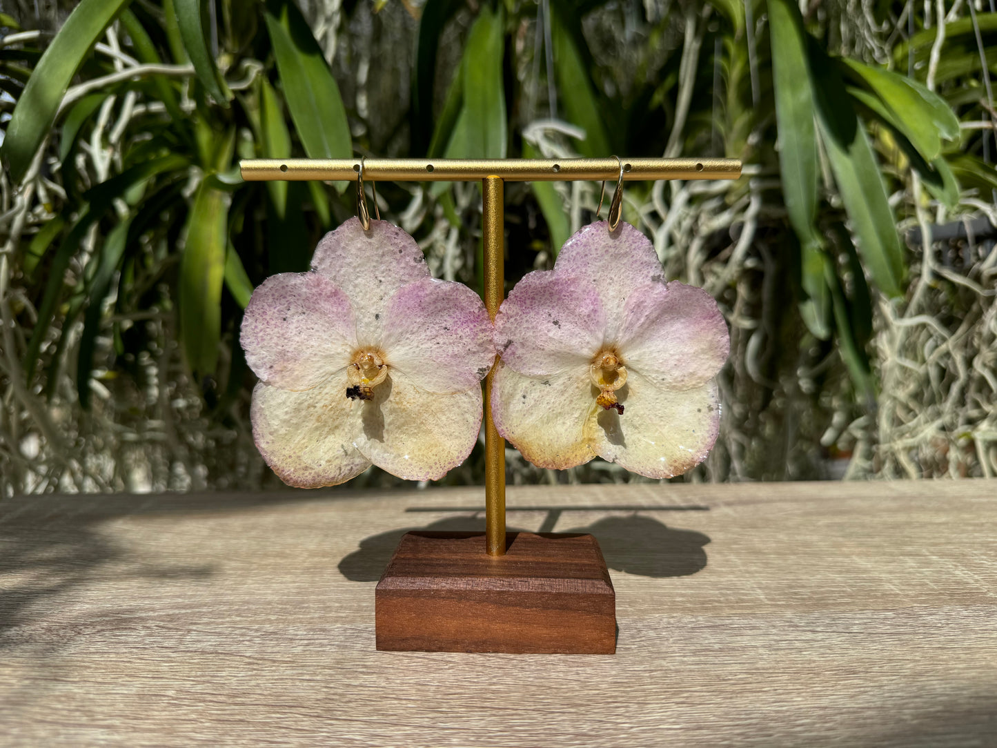 Sunset Vanda two tone Orchid earrings